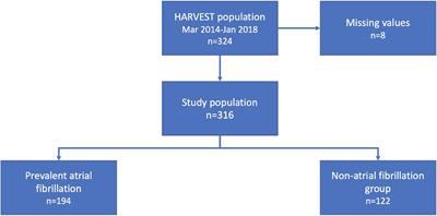 The impact of myocardial fibrosis biomarkers in a heart failure population with atrial fibrillation—The HARVEST-Malmö study